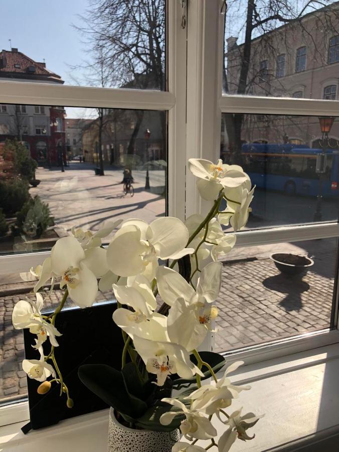 Tiltu 5 Jacuzzi Apartment Kłajpeda Zewnętrze zdjęcie